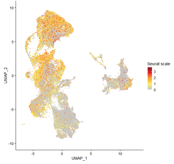 Feature plot of Mp1g00480 on UMAP