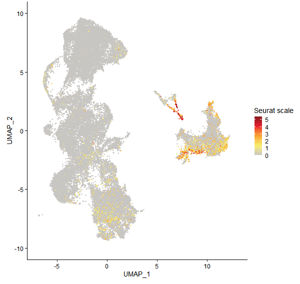Feature plot of Mp1g01170 on UMAP