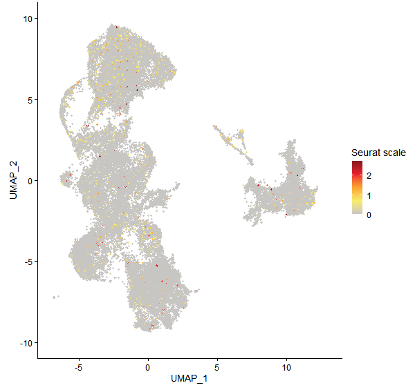 Feature plot of Mp1g01480 on UMAP