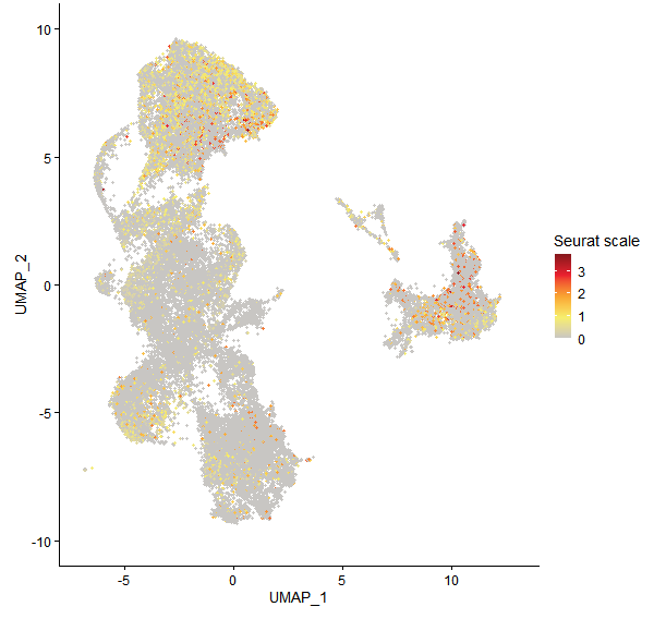 Feature plot of Mp1g03260 on UMAP
