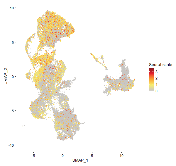 Feature plot of Mp1g03970 on UMAP