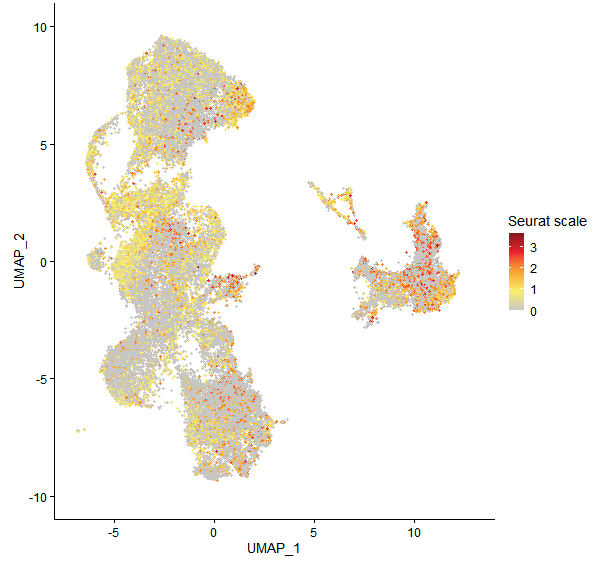 Feature plot of Mp1g06610 on UMAP