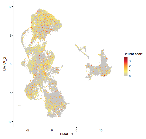 Feature plot of Mp1g06660 on UMAP