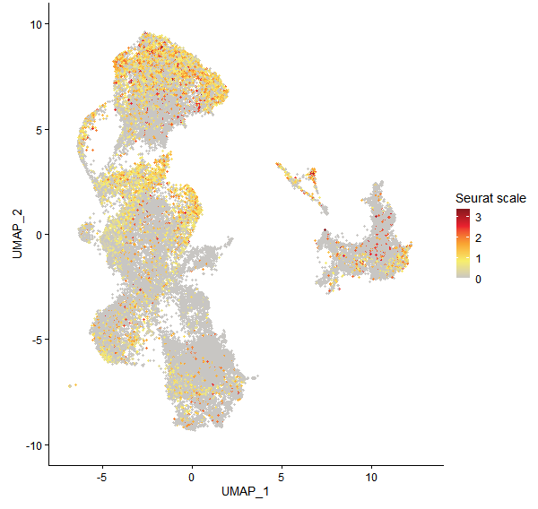 Feature plot of Mp1g07250 on UMAP