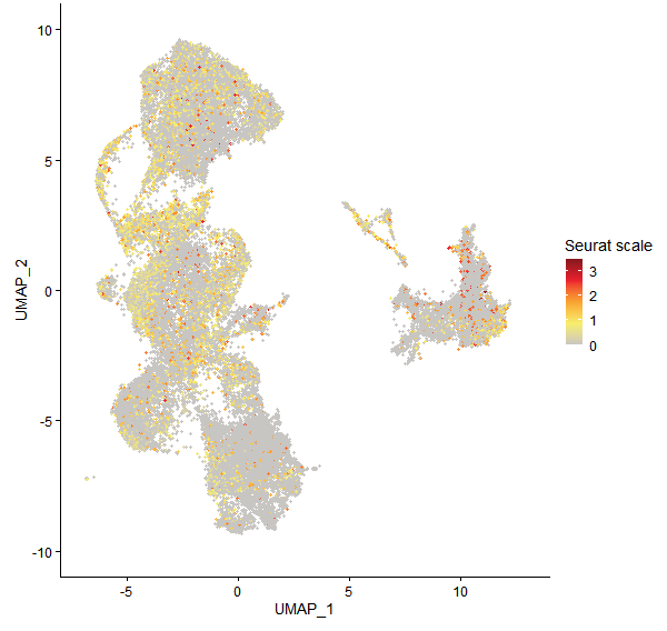 Feature plot of Mp1g08430 on UMAP