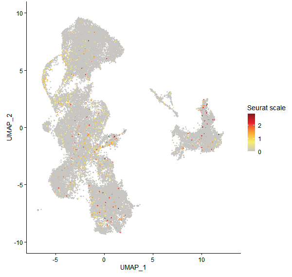 Feature plot of Mp1g08590 on UMAP