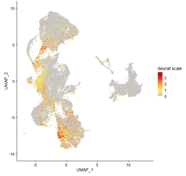 Feature plot of Mp1g09290 on UMAP
