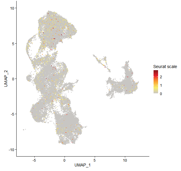 Feature plot of Mp1g10060 on UMAP
