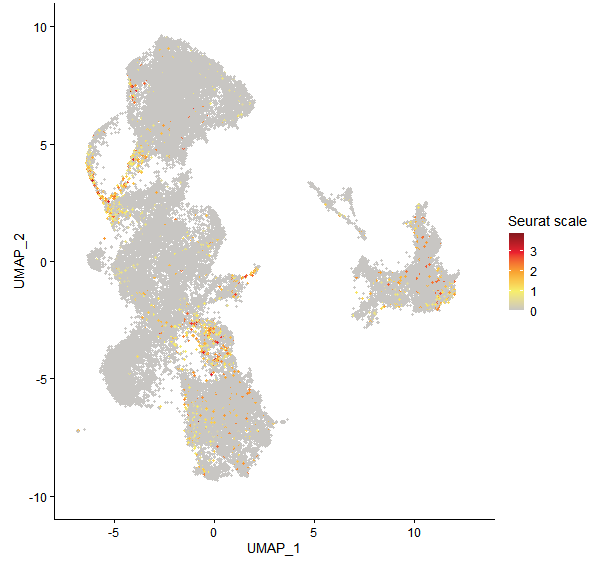 Feature plot of Mp1g10150 on UMAP