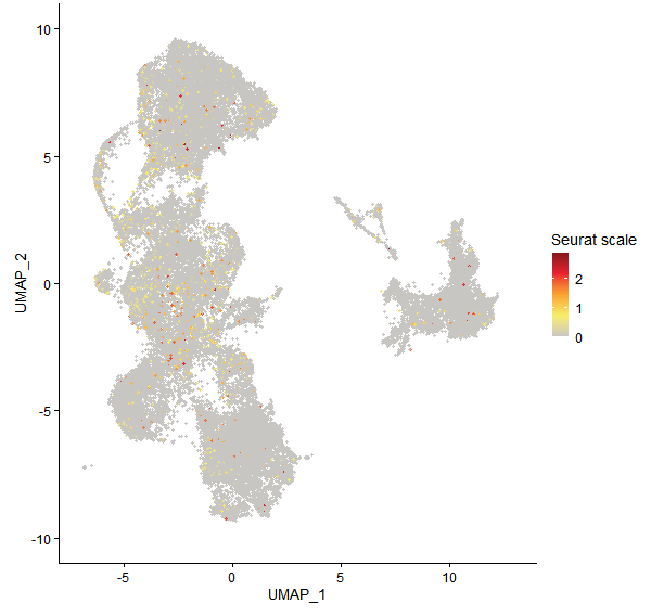 Feature plot of Mp1g10780 on UMAP