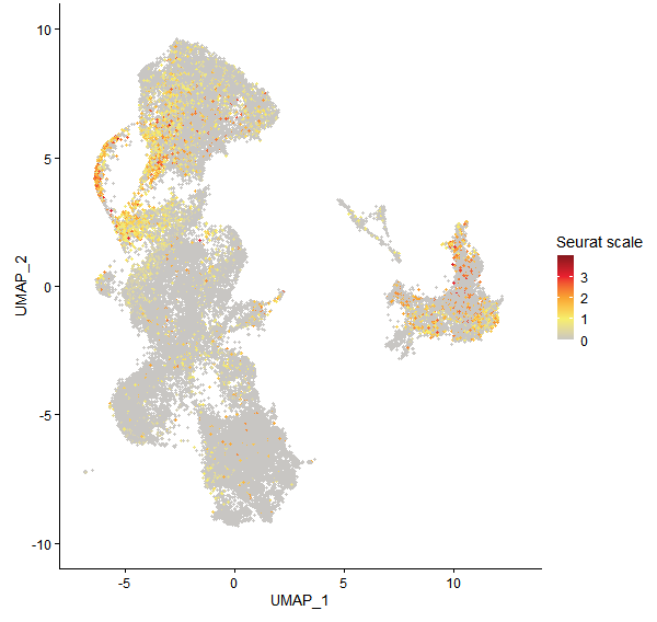 Feature plot of Mp1g11450 on UMAP
