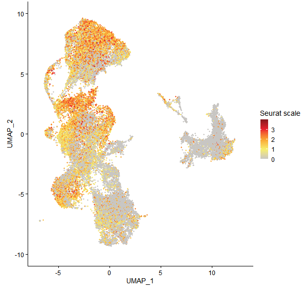 Feature plot of Mp1g11700 on UMAP