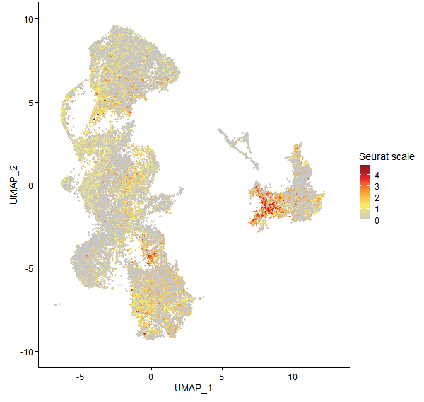Feature plot of Mp1g11940 on UMAP