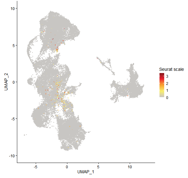 Feature plot of Mp1g14150 on UMAP