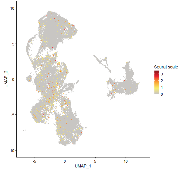 Feature plot of Mp1g15990 on UMAP