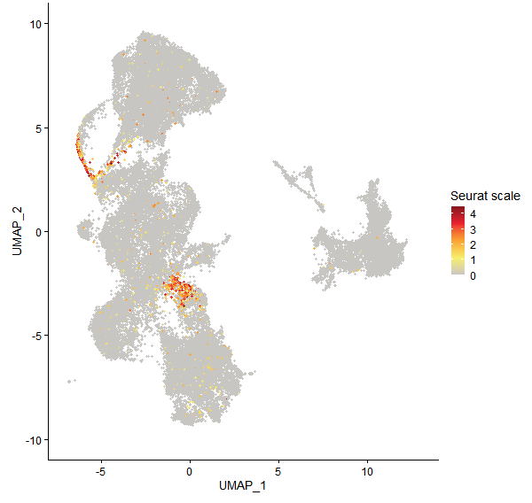 Feature plot of Mp1g16210 on UMAP