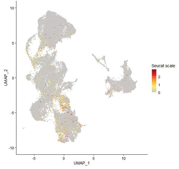 Feature plot of Mp1g16260 on UMAP