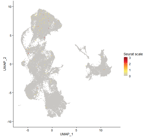Feature plot of Mp1g16390 on UMAP