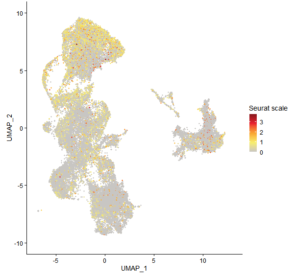 Feature plot of Mp1g16800 on UMAP