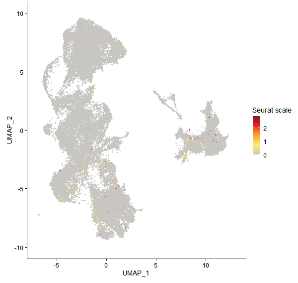 Feature plot of Mp1g17090 on UMAP