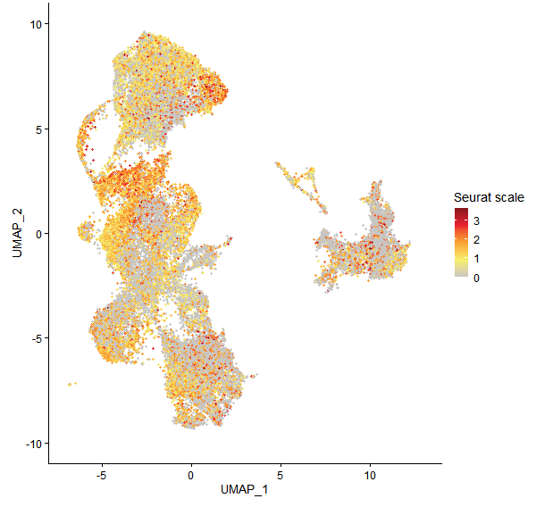 Feature plot of Mp1g17590 on UMAP