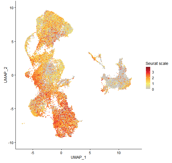 Feature plot of Mp1g18940 on UMAP