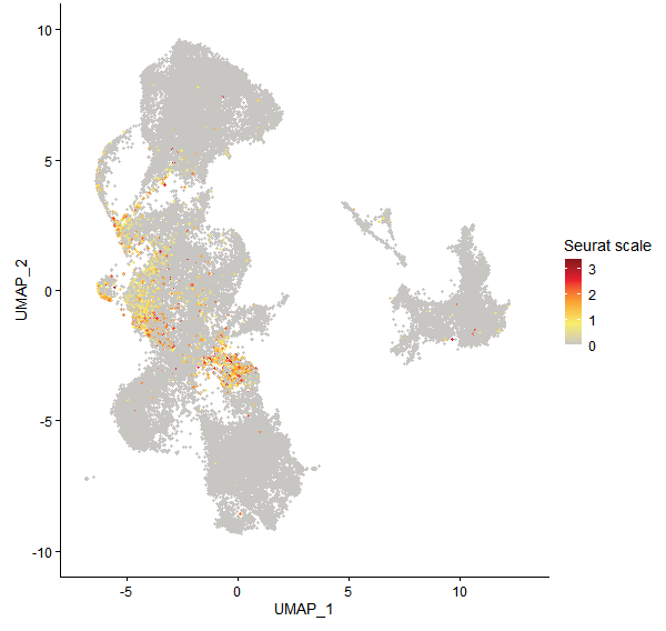 Feature plot of Mp1g19500 on UMAP