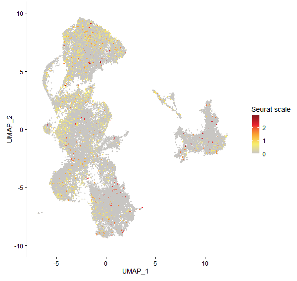 Feature plot of Mp1g19940 on UMAP