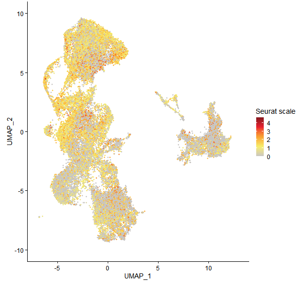 Feature plot of Mp1g20080 on UMAP