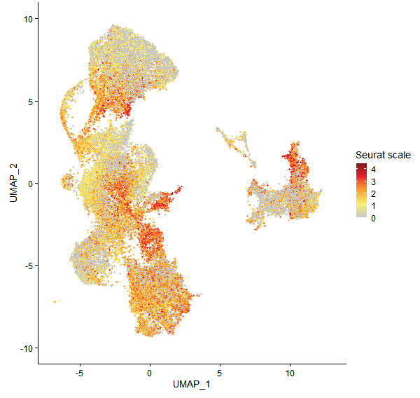Feature plot of Mp1g20730 on UMAP