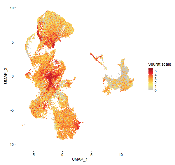 Feature plot of Mp1g20890 on UMAP
