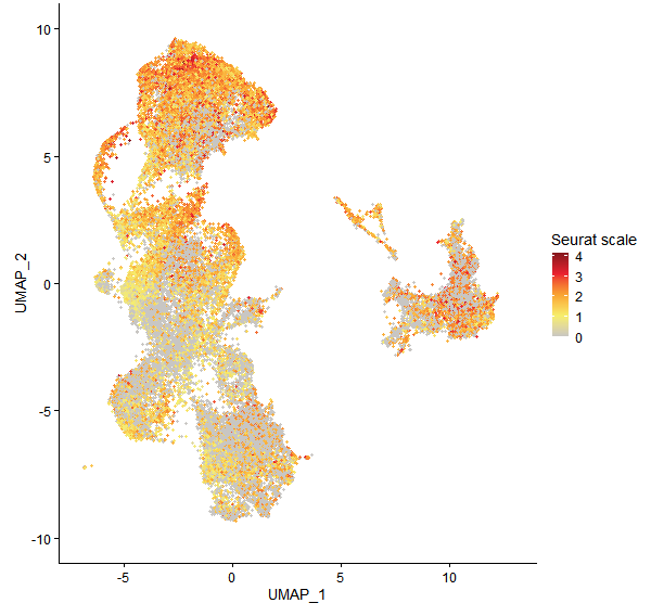 Feature plot of Mp1g21590 on UMAP