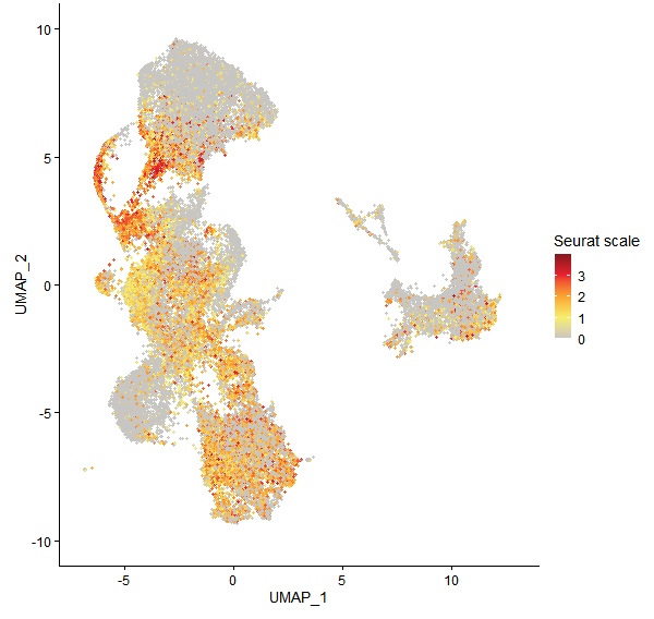 Feature plot of Mp1g22700 on UMAP