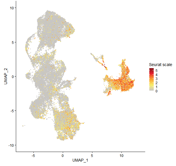 Feature plot of Mp1g23200 on UMAP