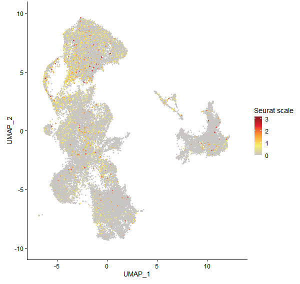 Feature plot of Mp1g23280 on UMAP
