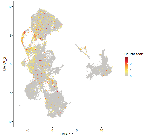 Feature plot of Mp1g24140 on UMAP