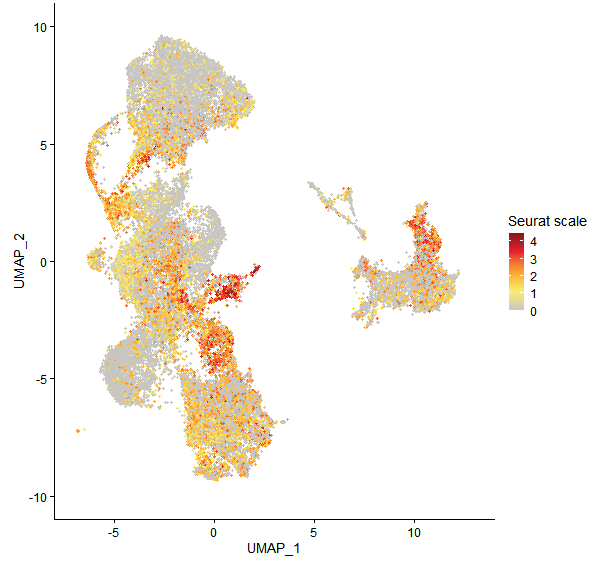 Feature plot of Mp1g24530 on UMAP