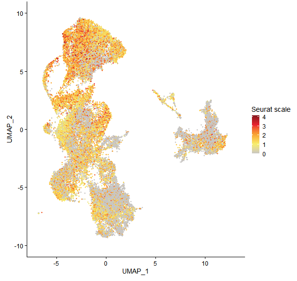Feature plot of Mp1g24950 on UMAP