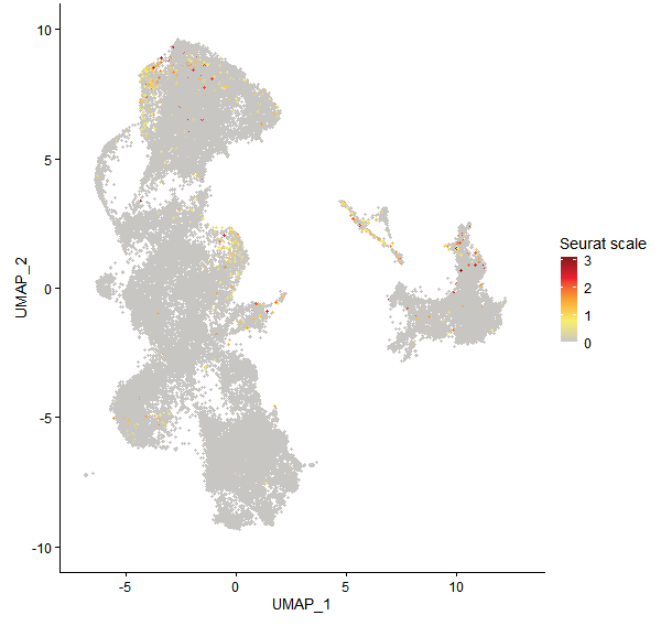 Feature plot of Mp1g25240 on UMAP
