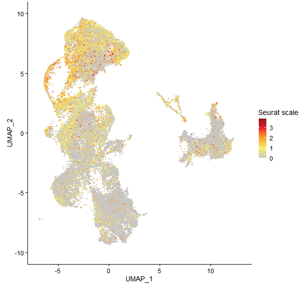 Feature plot of Mp1g26020 on UMAP