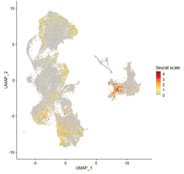 Feature plot of Mp1g26440 on UMAP