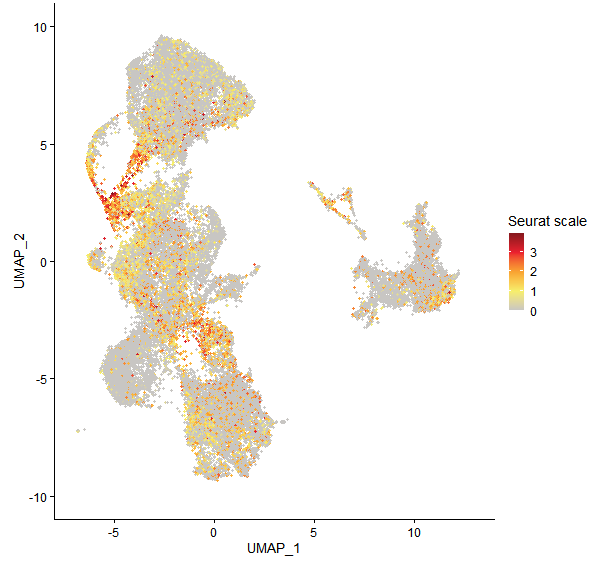 Feature plot of Mp1g26540 on UMAP