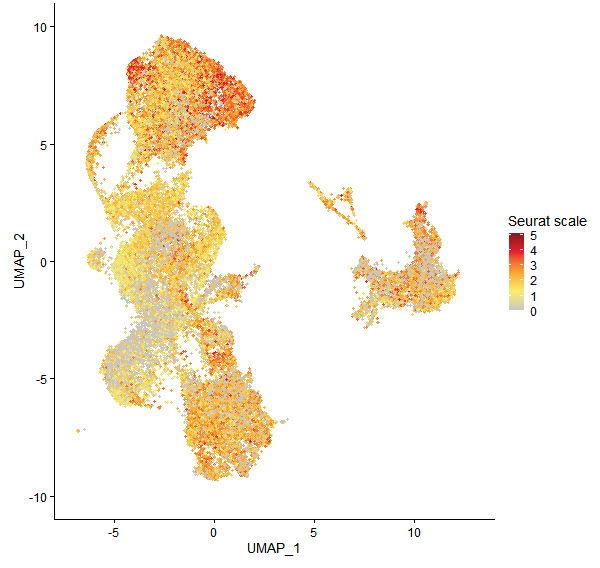 Feature plot of Mp1g26610 on UMAP
