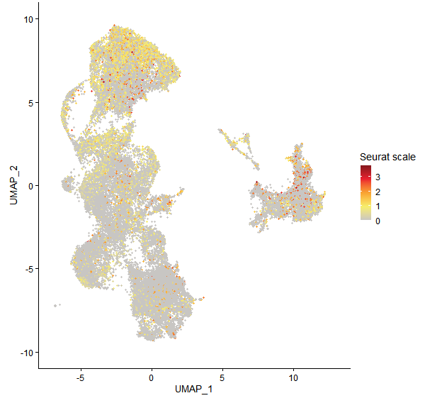 Feature plot of Mp1g27750 on UMAP
