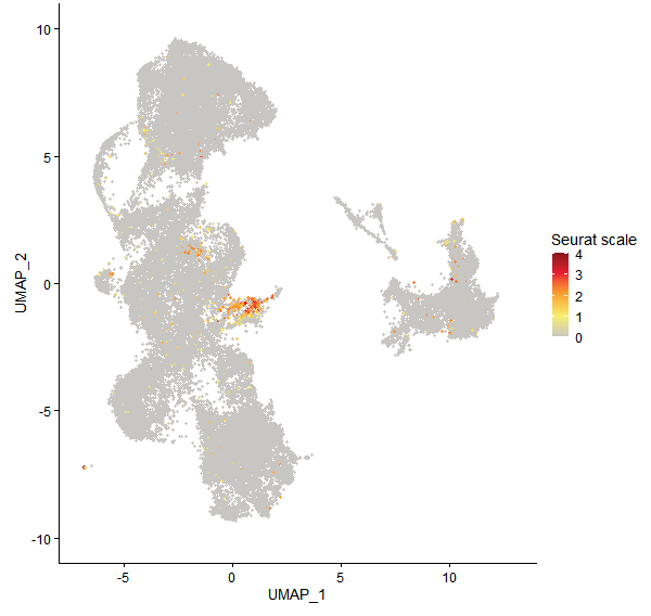 Feature plot of Mp1g28130 on UMAP
