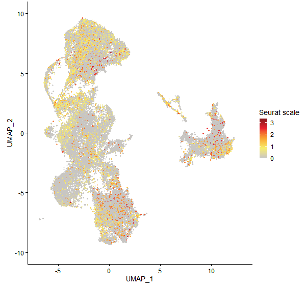 Feature plot of Mp2g00170 on UMAP