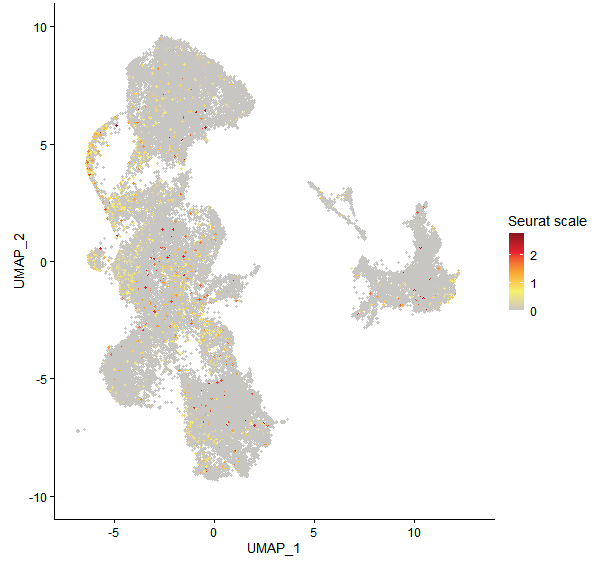 Feature plot of Mp2g02910 on UMAP