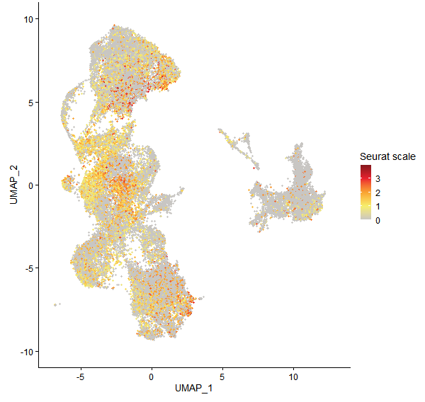 Feature plot of Mp2g03020 on UMAP
