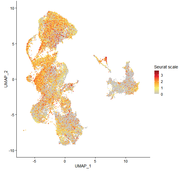 Feature plot of Mp2g04730 on UMAP