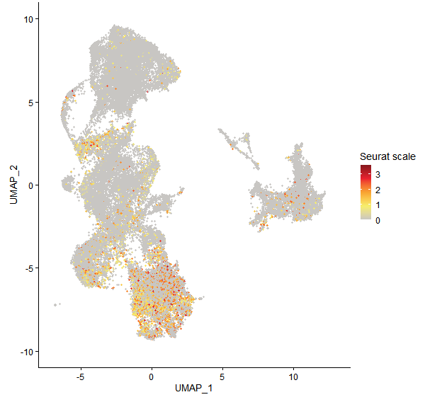 Feature plot of Mp2g04930 on UMAP